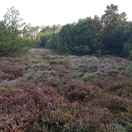 別荘 8 Person In Tarm-by Traum Fjerbæk