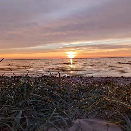 8 Person In Tarm-by Traum *