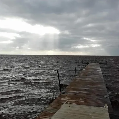 8 Person In Tarm-by Traum *