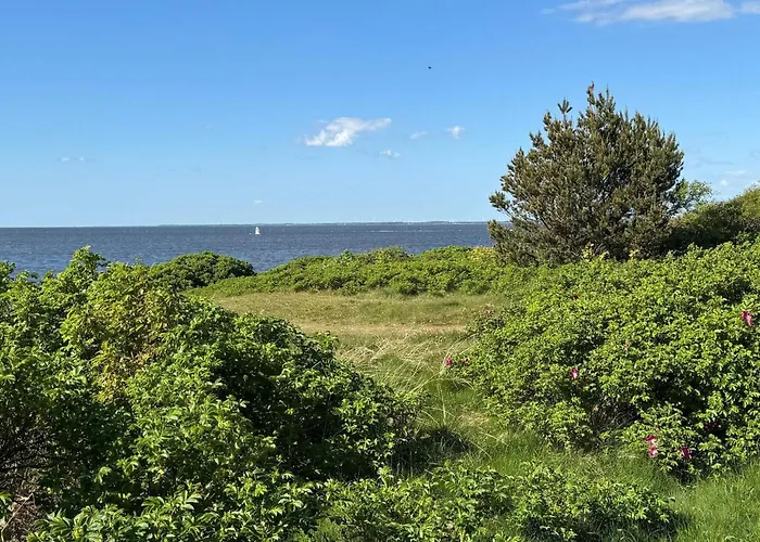 8 Person In Tarm-by Traum Fjerbæk