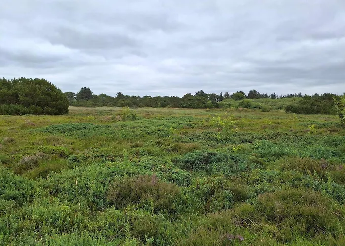 בית נופש 8 Person In Tarm-by Traum *