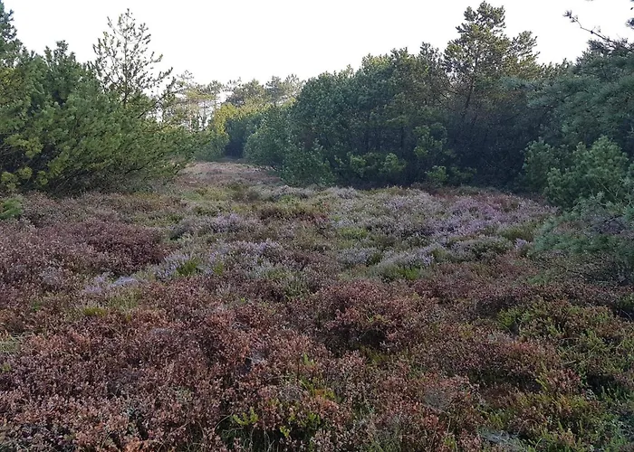 בית נופש 8 Person In Tarm-by Traum Fjerbæk