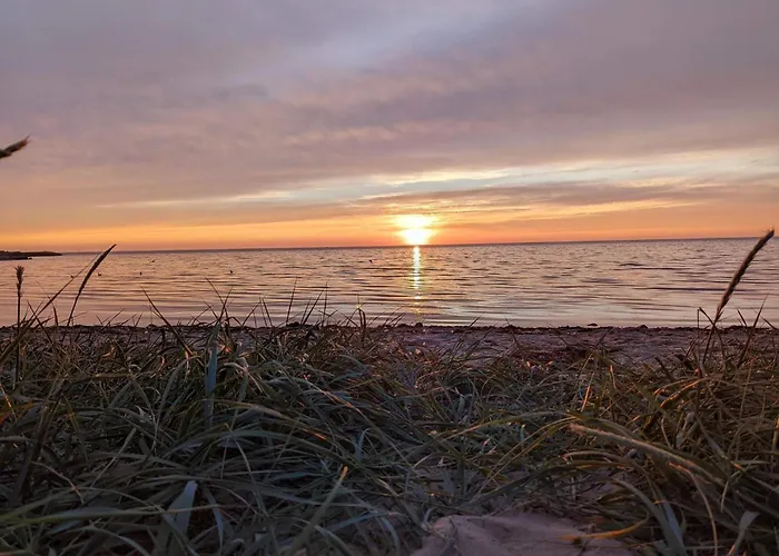 8 Person In Tarm-by Traum *