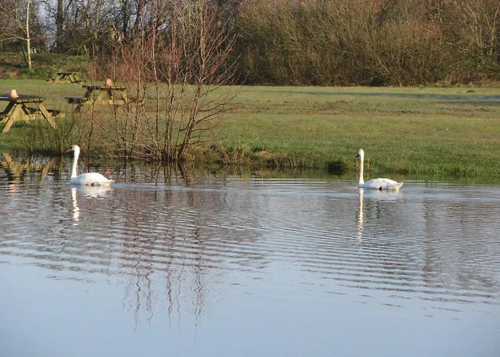 8 Person In Tarm-by Traum בית נופש